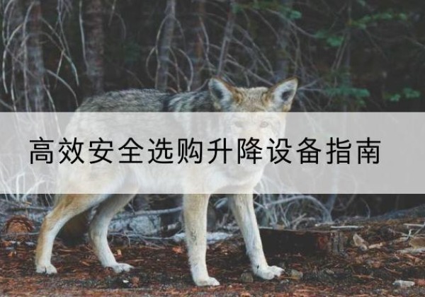 通辽升降货梯厂家推荐-*安全选购升降设备指南