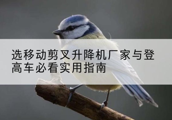 通辽电动升降机厂家-选移动剪叉升降机厂家与登高车必看实用指南
